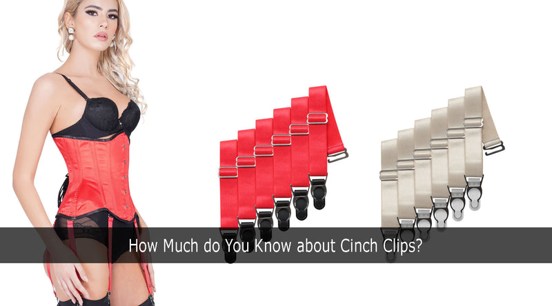 https://www.bunnycorset.in/cdn/shop/articles/How_Much_do_You_Know_about_Cinch_Clips_800x.jpg?v=1648892227